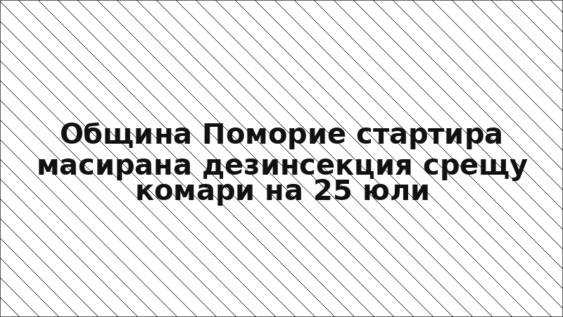 Община Поморие стартира масирана дезинсекция срещу комари на 25 юли