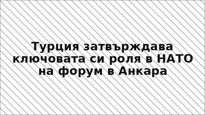 Турция затвърждава ключовата си роля в НАТО на форум в Анкара