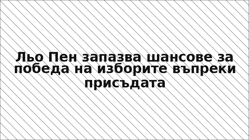 Льо Пен запазва шансове за победа на изборите въпреки присъдата