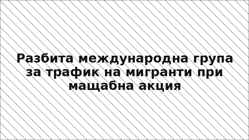 Разбита международна група за трафик на мигранти при мащабна акция