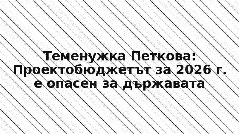 Теменужка Петкова: Проектобюджетът за 2026 г. е опасен за държавата